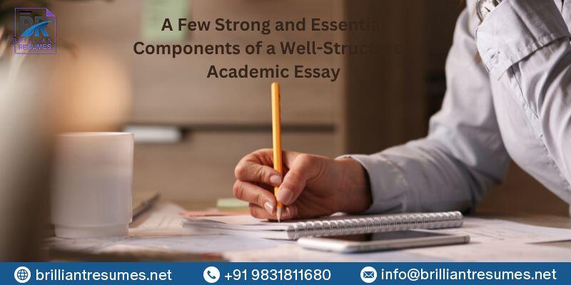 professional resume writing services in india