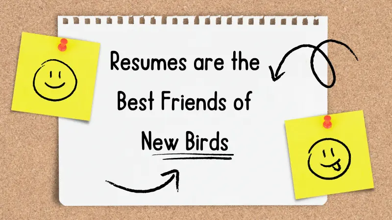 Resumes are the Best Friends of New Birds